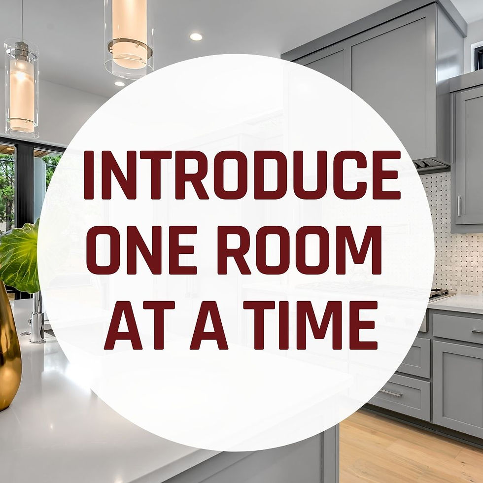 Kitchen with puppy training advice: Introduce one Room at the time