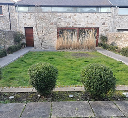 IMG_20220310_172509 (1).jpg