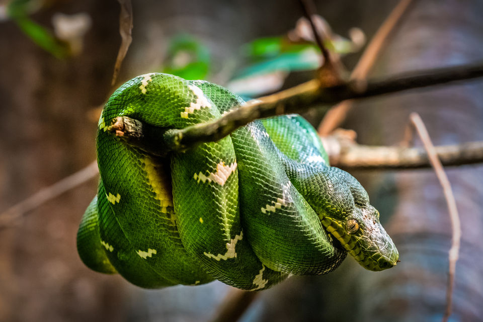 DSC_4735-Edit.jpg