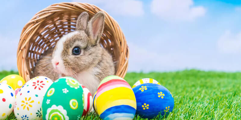 Easter Offers