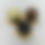 Thumbnail: Chocolate Bomb