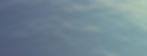 Pure-Michigander-Branding_Artboard-13.jpg