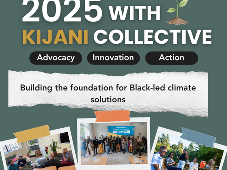 Kijani News: Happy New Year & 2025 Recap