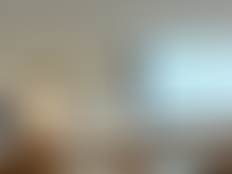 北海道理学療法士学会で発表してきました