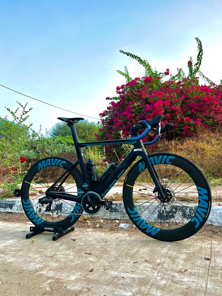 Black road bicycle with deep-section Mavic wheels parked beside flowering bushes.
