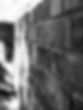 fullsizeoutput_286.jpeg