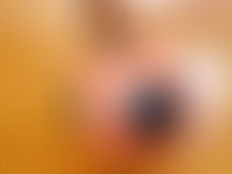 夏のお預かり保育、始まりました!