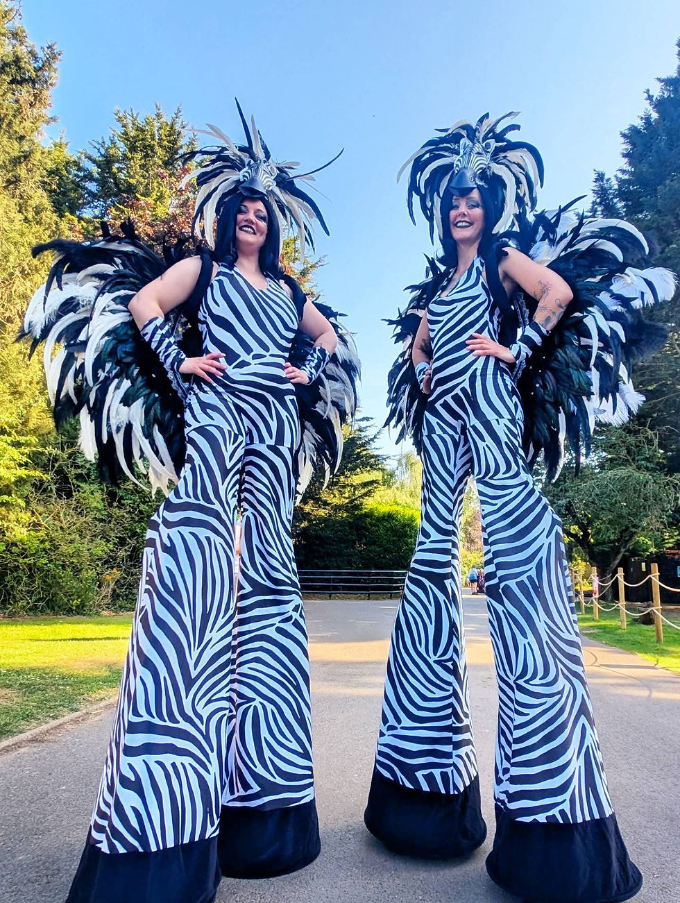 Zebras
