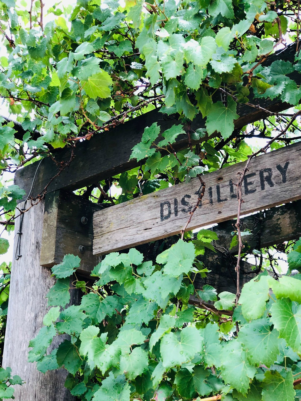 Distillery door - what happens when you buy Australian craft spirits?