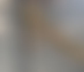 Things Seen During Trastevere Walks