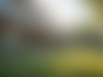 Discover the Family Trust Benefits Australia Offers for Your Financial Future