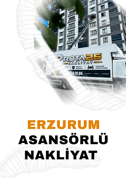 BU AFİŞİ DE KULLLAN.png