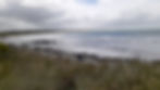20231022_113631.jpg