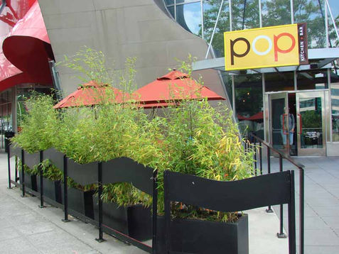 Museum of Pop Culture