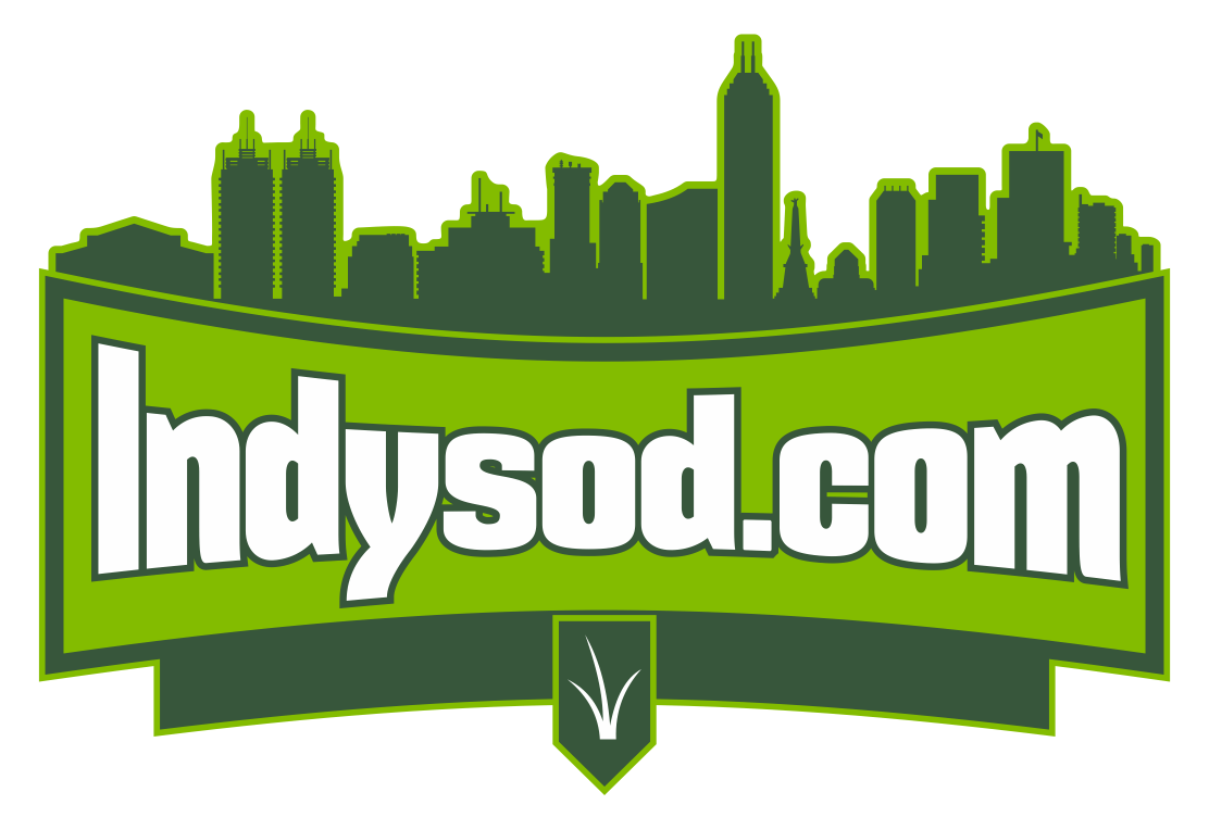 Indysod Logo - without background.gif