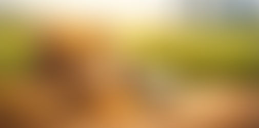 Monopolizing The Harvest: Corporate Influence and Regulatory Gaps in Global Seed Governance