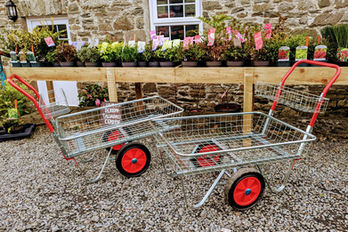 Two Garden Nursery Trolleys at Purple Trees Garden Nursery Ceredigion, plants for sale on staging.