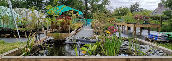 A raised wooden pond in a garden nursery surrounded by plants and shrubs for sale