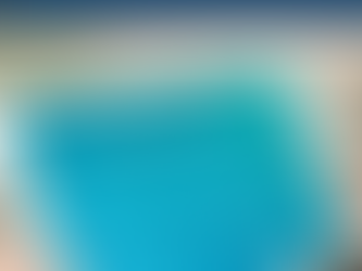 Aligning Diversity Goals and Hiring Practices, FREE 40 page resource book