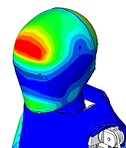 HeadSurface_w.o._NG.png