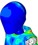 HeadSurface_with_NG.png