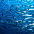 Strategic planning in a changing environment