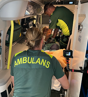 20210909_132329160_iOS (1).heic