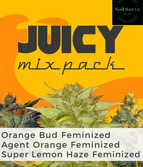 Juicy Mix.png