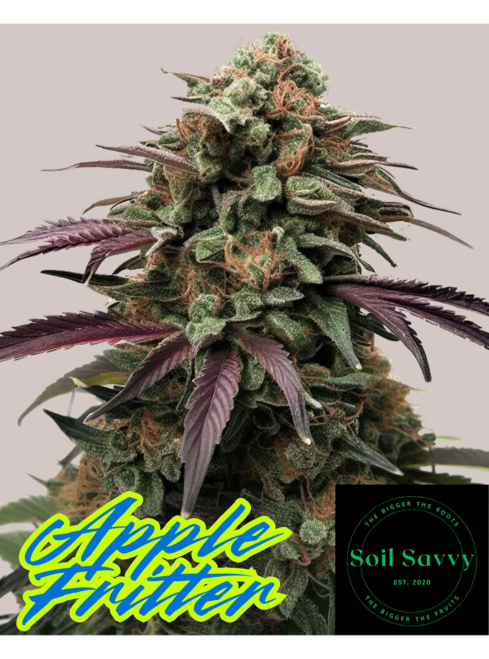 Apple Fritter Feminized Seeds