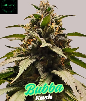 Bubba Kush.png