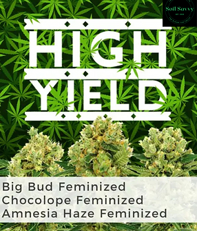 High Yield Mix.png