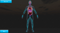 Body Section