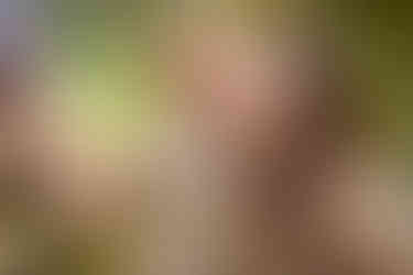fotografo ensaio familia parque vicentina aranha em sao jose dos campos