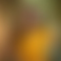 Ensaio Feminino da Taísa no Parque da Cidade em São José dos Campos - Fotógrafa Dani Di Giaimo