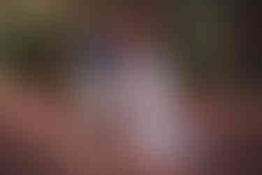 Book gestante ensaio fotográfico externo no Parque Vicentina Aranha em São José dos Campos-SP