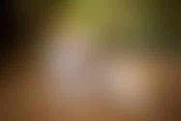 fotografo ensaio familia parque vicentina aranha em sao jose dos campos