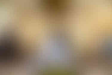 Book casamento fotografo de casamento religioso em São José dos Campos-SP