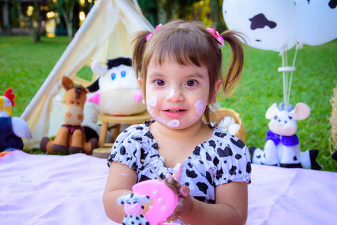 fotografo ensaio smash the cake em sao jose dos campos