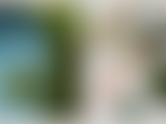 Algas Marinhas: um dos recursos mais renováveis do planeta