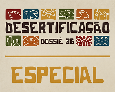 Desertificação nova arte-03.png