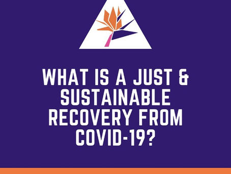 What is a just & sustainable recovery from COVID-19?
