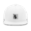Classic Snapback | Yupoong 6089M