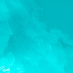 IMG_4691.jpeg
