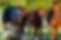HTC (40 of 143) Large.jpeg