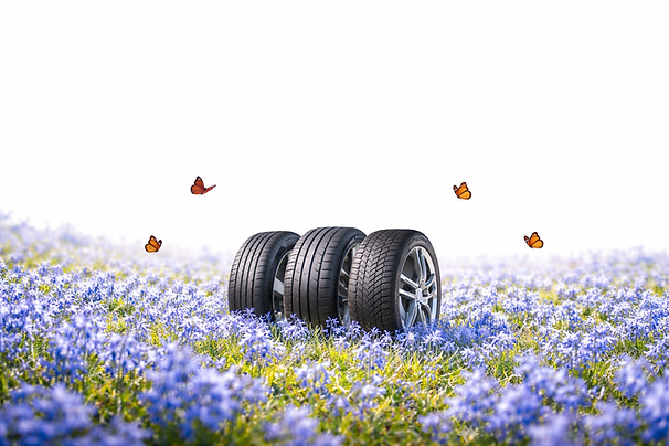 Wider tyres!.png