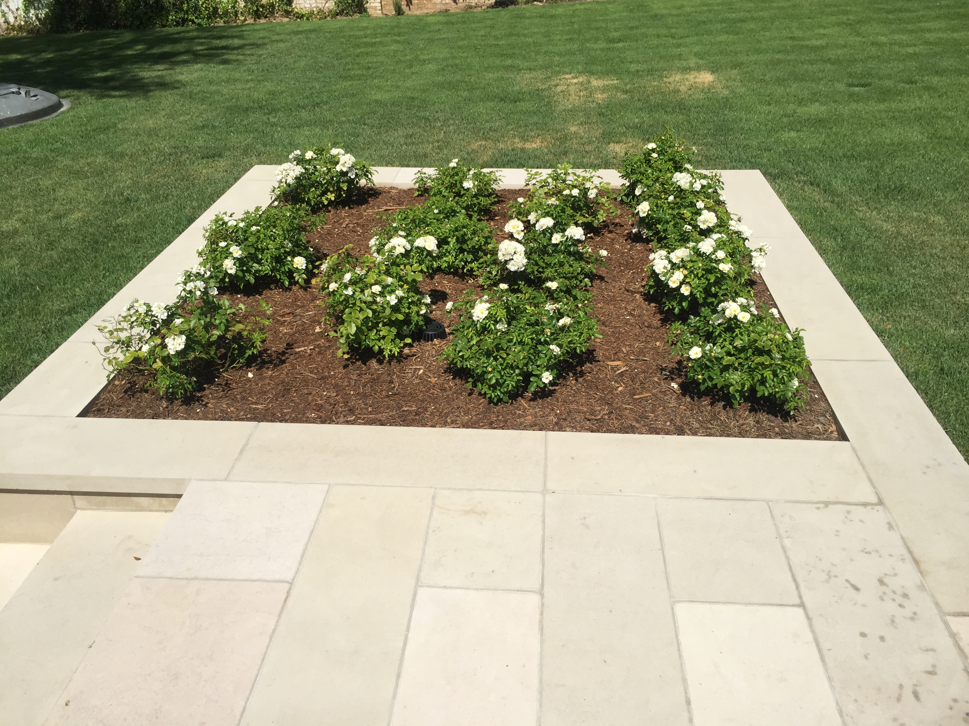 Brookview - Lueders Buff (14)