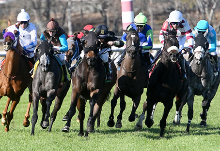 Texas Racing Commission Issues Memorandum Clarifying Corticosteroid Withdrawal Guidelines and Race-Day Testing