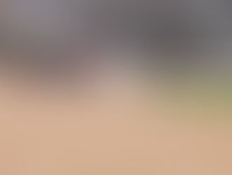 Texas Bred Incentive Fund