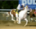 eb1fe3d3-6852-4632-b838-0a27bda41514_637782252925700743_.png