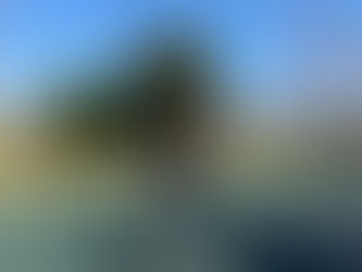 公園でトレーニング